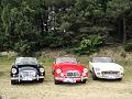 MG & Oldies Happening (130)